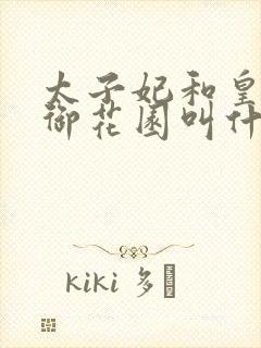 太子妃和皇帝在御花园叫什么小说