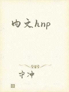 肉文hnp