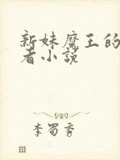 新妹魔王的契约者小说