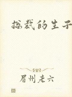 总裁的生子情人