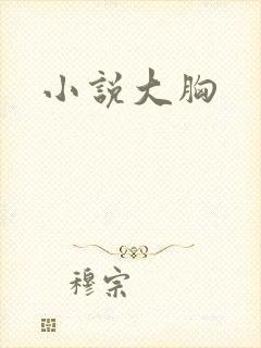 小说大胸