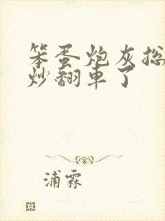 笨蛋炮灰总被爆炒翻车了