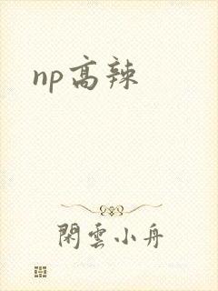 np高辣