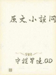 原文小说网