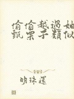 偷偷越过她by甄栗子类似小说