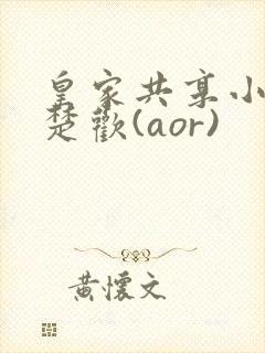 皇家共享小公主楚欢(aor)