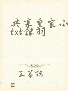 共享皇家小公主txt银羽