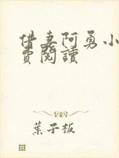 借妻阿勇小说免费阅读