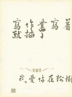 写作业写着写着就插了