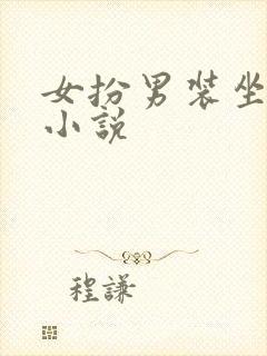 女扮男装坐江山小说