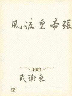 风流皇帝张无忌