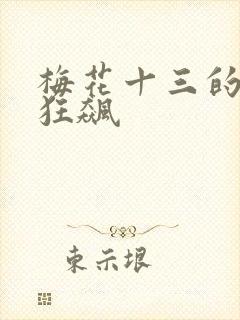 梅花十三的乳液狂飙