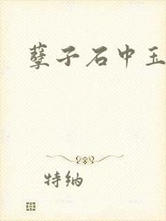 孽子石中玉