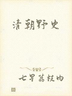 清朝野史