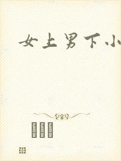 女上男下小说