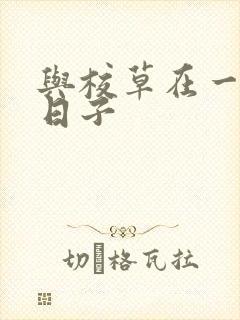 与校草在一起的日子