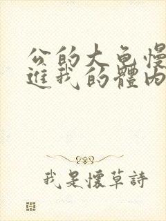 公的大龟慢慢挺进我的体内视频