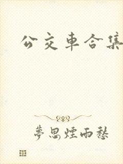 公交车合集