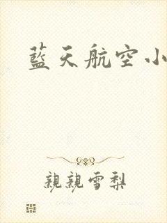 蓝天航空小说