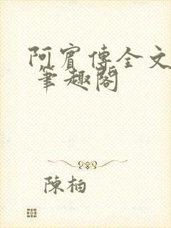 阿宾传全文阅读 笔趣阁