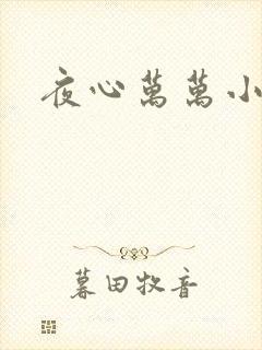 夜心万万小说