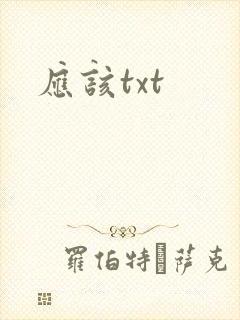 应该txt