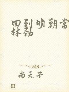 回到明朝当王爷林劲