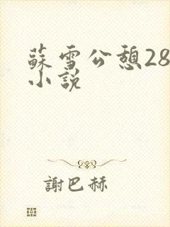 苏雪公憩28篇小说