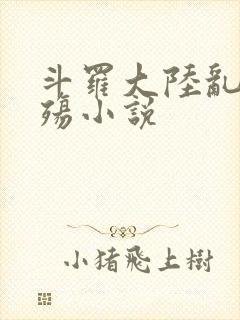 斗罗大陆乱世浮殇小说