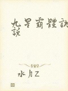 九星霸体诀 小说