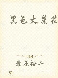 黑色大丽花图片