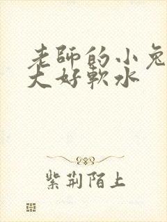 老师的小兔子好大好软水