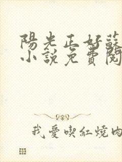 阳光正好苏玥玥小说免费阅读无弹窗