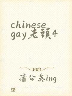 chinesegay老头4