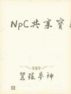 NpC共享宝贝