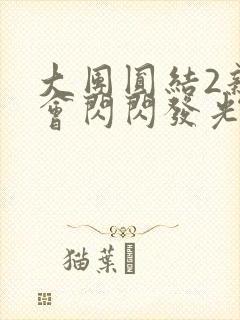 大团圆结2亲情会闪闪发光亲情会2