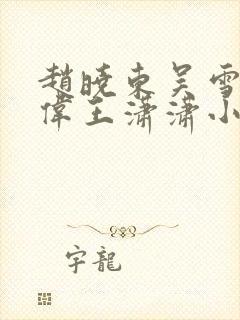 赵晓东吴雪晴郑伟王潇潇小说