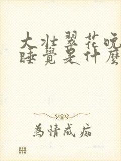 大壮翠花晚上不睡觉是什么电视剧