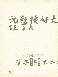 沈教授好大含不住了h