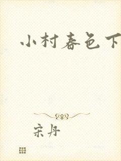 小村春色下载