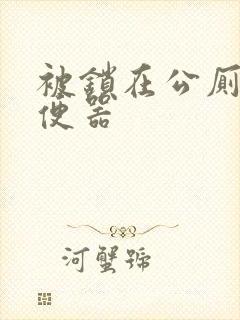 被锁在公厕当坐便器