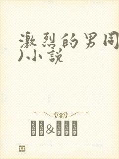 激烈的男同(h)小说