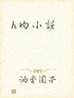 h肉小说