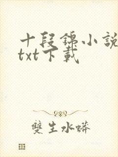十段锦小说全本txt下载