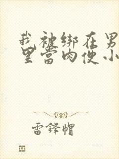 我被绑在男公厕里当肉便小说