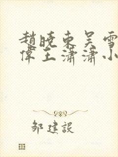 赵晓东吴雪晴郑伟王潇潇小说名字