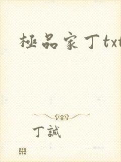 极品家丁txt