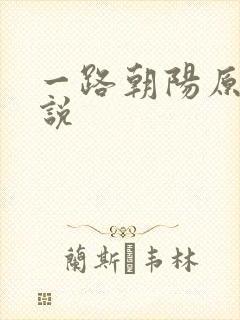 一路朝阳原著小说