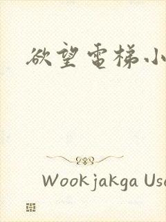 欲望电梯小说