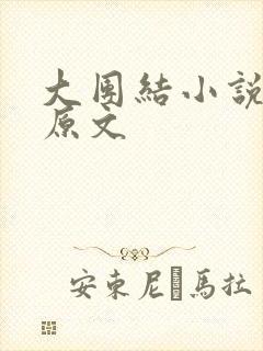 大团结小说阅读原文